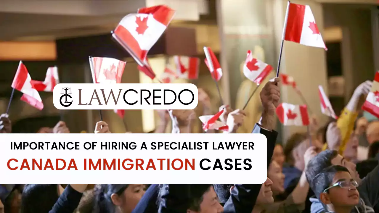 importance-of-hiring-specialist-lawyer-for-canada-immigration-cases-law-credo.webp